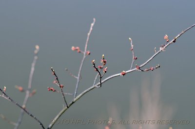 Spring Equinox on the Riverbank