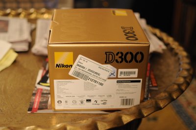 Nikon D300 Initial Test Pictures