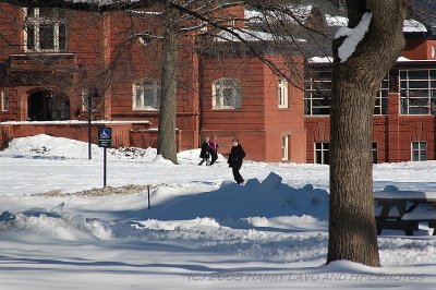 Mt. Holyoke -20080224_34-DSC_8395_DxO.JPG