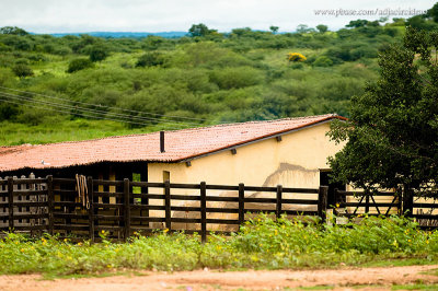 Estábulo