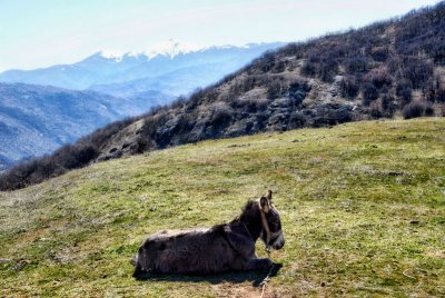 The austere beauty of Macedonian landscape