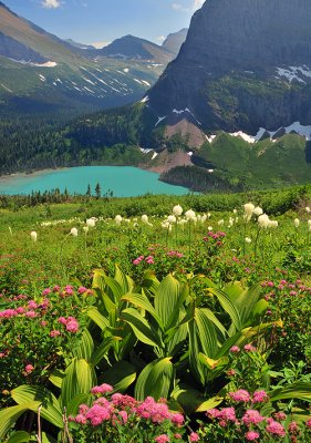 Grinell Lake - Skunk Cabbage & Flowers