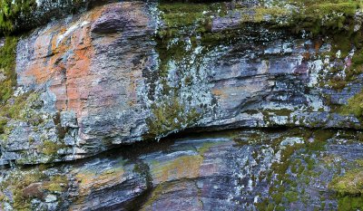 Sunrift Gorge Rock Detail