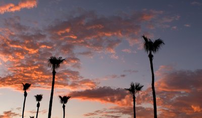 Ahwatukee - Sunsets Last Colors