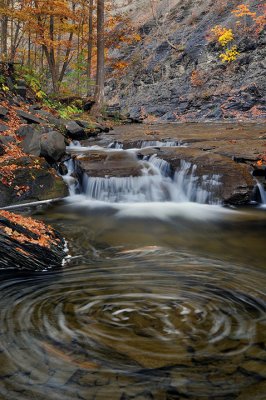 Taughannook SP 13 - Ithaca, NY