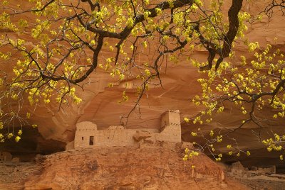 AZ - Canyon de Chelley 1