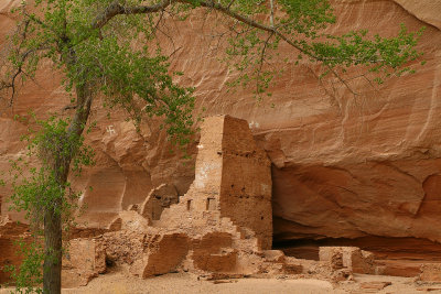 Canyon de Chelley 2