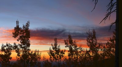 Flagstaff Aspen Sunrise