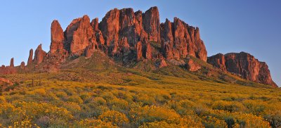 AZ - Lost Dutchman & Brittlebush 1