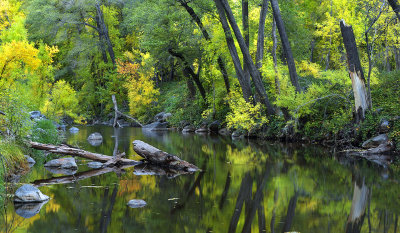 AZ - Oak Creek Fall Color Reflection 2