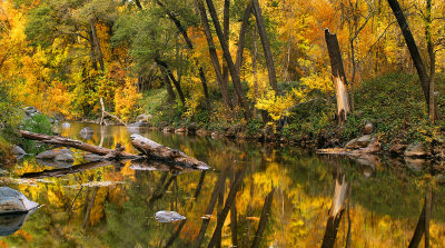 AZ - Oak Creek Fall Color Reflection 3