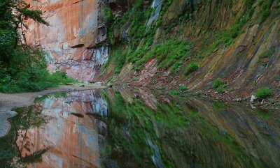 Oak Creek West Fork Reflection 1