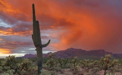 AZ - Peralta Trail Superstitions Sunset