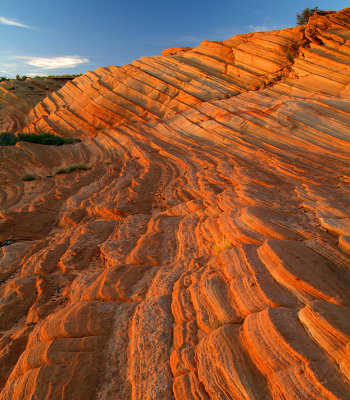 AZ - Watering Holes Canyon