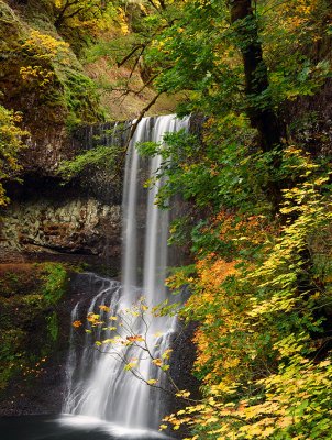 Oregon - Silver Falls SP Lower South Falls_23x30