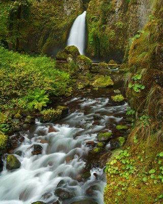 Oregon - Wahclella Falls_23x29
