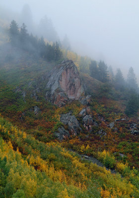 Aspen - Fall Colored Hillside
