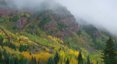 Aspen - Foggy Red Rock  Fall Colors