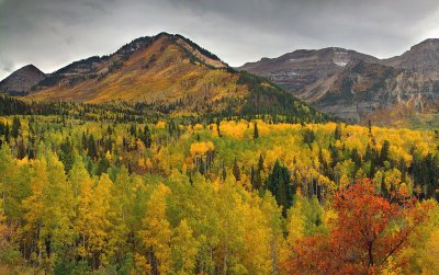 UT - Timpanogas Fall Color