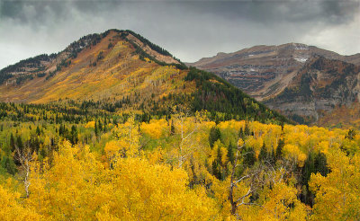 UT - Timpanogas Fall Color 3