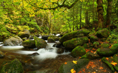 Columbia River Gorge - Multnomah Creek