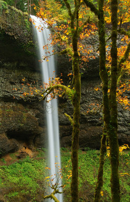 Silver Falls SP - South Falls