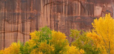 Canyon de Chelly - Cottonwood Red Rock Wall Detail