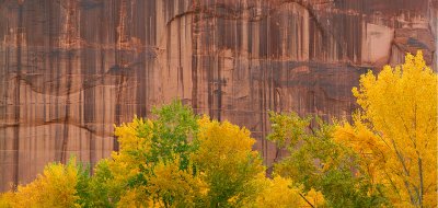 Canyon de Chelly - Cottonwood  Red Rock Wall Detail