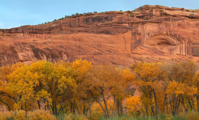 Canyon de Chelly - Cottonwoods at Twilight