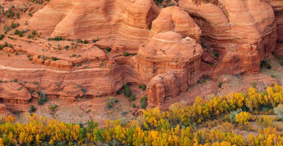 Canyon de Chelly - Red Rocks  Cottonwoods