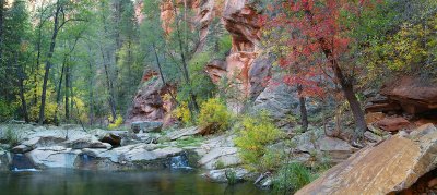 Oak Creeks West Fork - Creek Maples 2