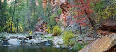 Oak Creeks West Fork - Creek  Maples 2