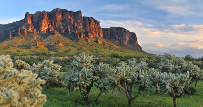 Lost Dutchman SP - Chollos  Green Desert