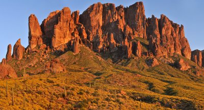 Lost Dutchman SP - Brittlebush  Superstition Mountains 2