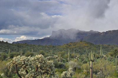 Peralta Trail - Spring Thunderstorm