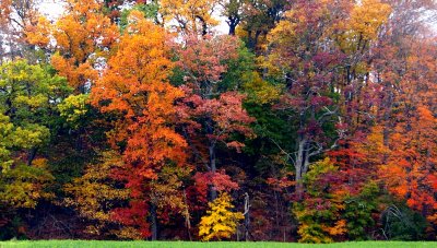 Fall-Upstate New York***BEST VIEWED LARGE***