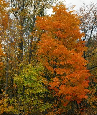 Fall at Harriman State Park