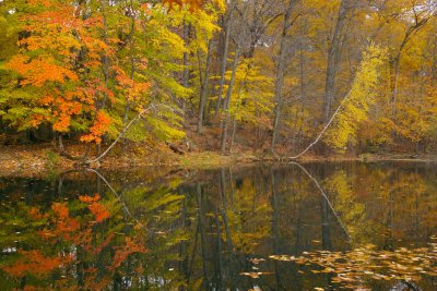 Fall Magic-2007