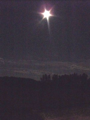 The treeline against the full moon.jpg