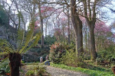 Mount Congreve Gardens, Waterford