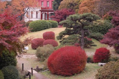 koishikawa_botanical_gardens