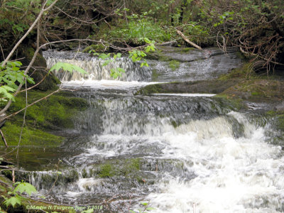 Chute du NB Restigouche Co.