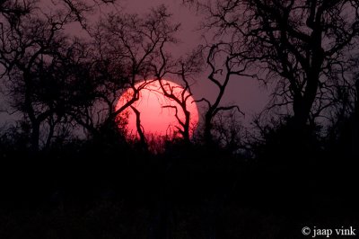 African Sunset - Zonsondergang