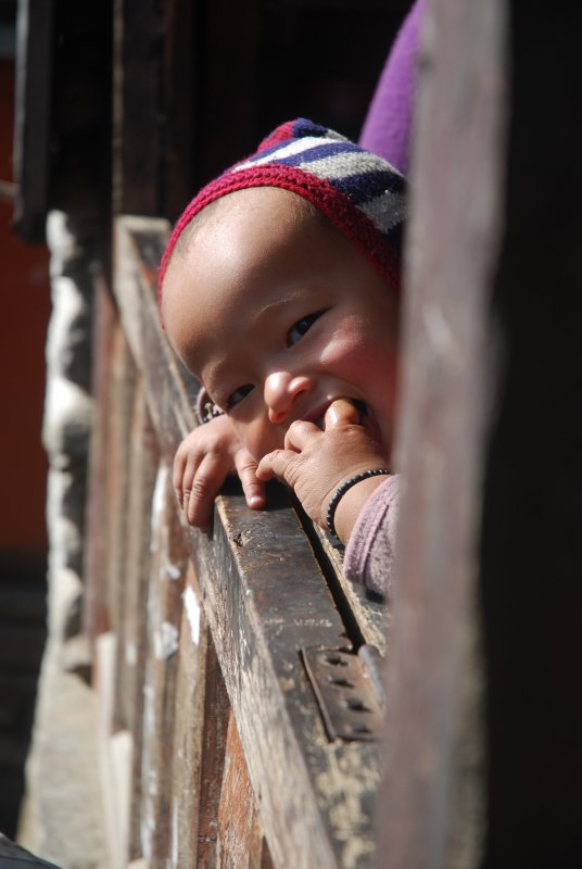 Peek a boo!