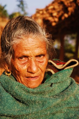 The Dame of Daudi