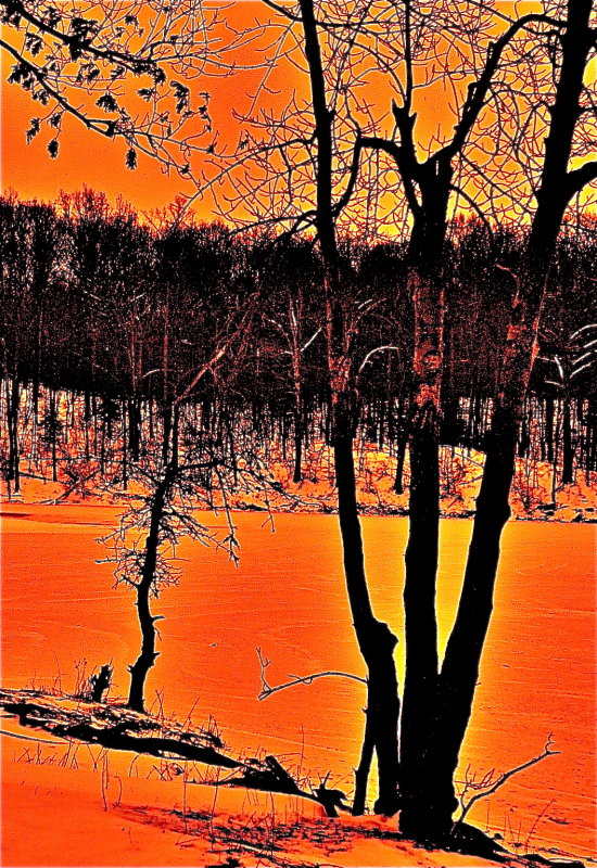 Needwood Lake, Rockville, Md