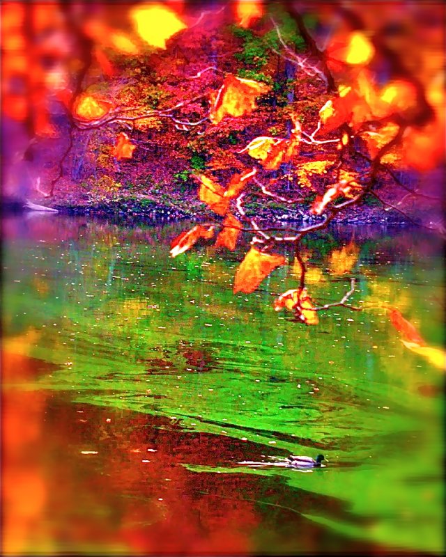 Fall