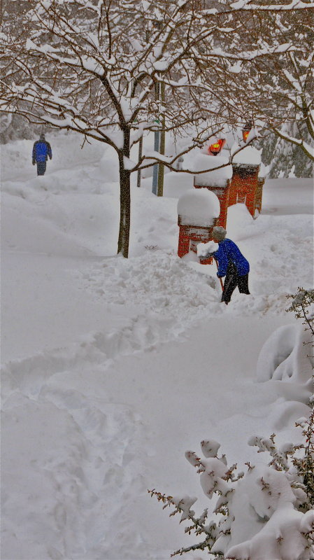 Blizzard on the East coast - USA