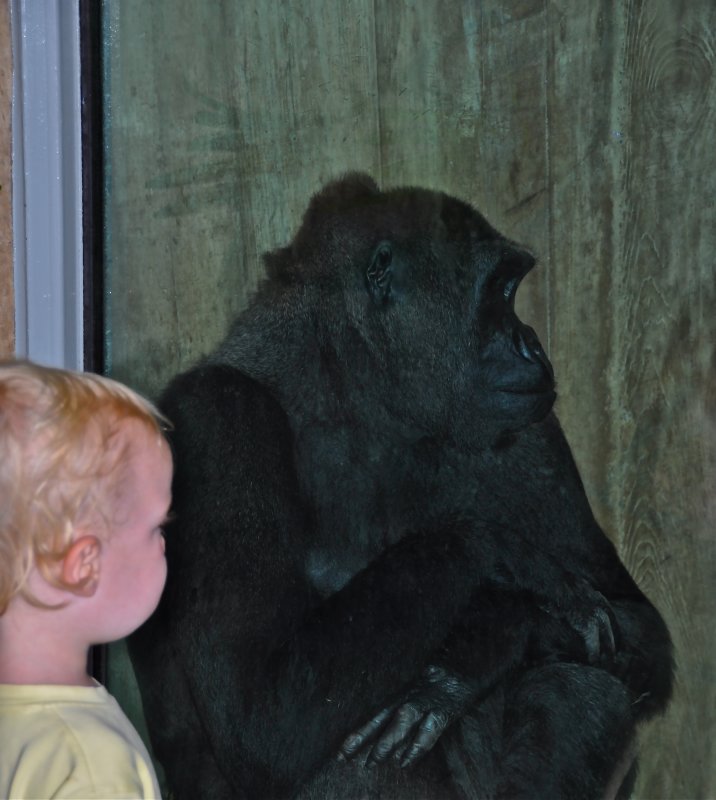 Hot day at the zoo