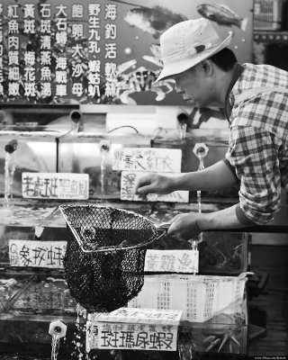 Fish Market in Bisa Harbor (Keelung)